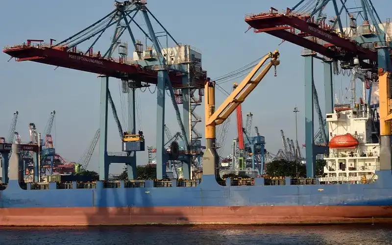 Performa Logistik RI Turun Peringkat, Pemerintah Optimalkan Peran NLE